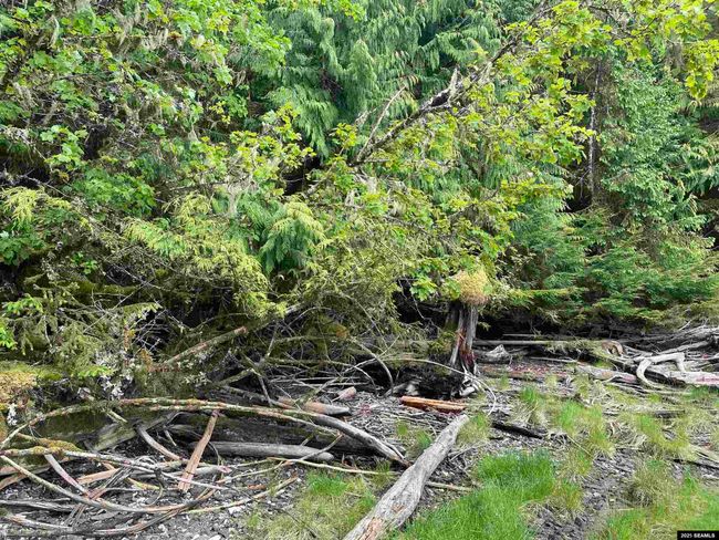 LOT-2-BLOCK-1 - NHN Legal Address Only, Home with 0 bedrooms, 0 bathrooms and null parking in Ketchikan AK | Image 6