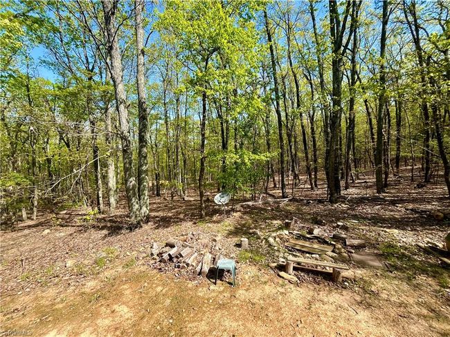 View from the backdoor | Image 16