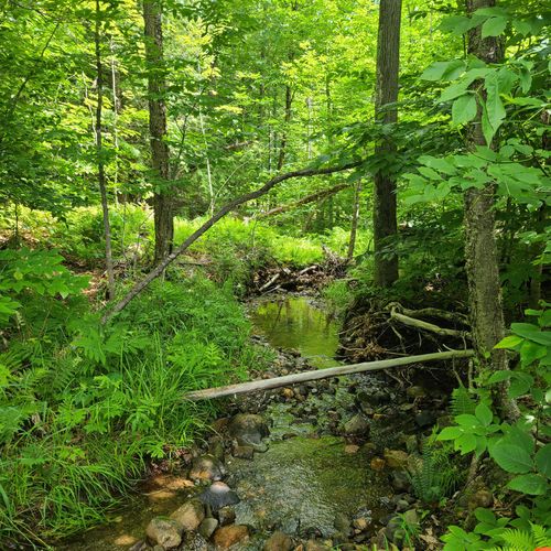 40 Bubier Road, Wilton, ME, 04294 | Card Image