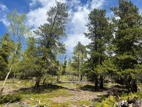 1 Sunny Skies Trl, Idaho Springs, CO, 80452-5201 | Card Image