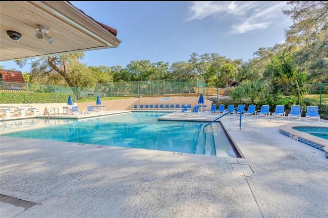 50A - 2722 11 Th Ct, Condo with 2 bedrooms, 3 bathrooms and null parking in PALM HARBOR FL | Image 30