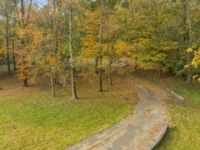 4.95 acres of idyllic beauty to surround your future dream home! 4969 Tranham Rd Whites Creek, TN 37189 | Image 3