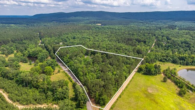 95 Thunder Mountain Rd, House other with 4 bedrooms, 3 bathrooms and null parking in Caddo Gap AR | Image 46