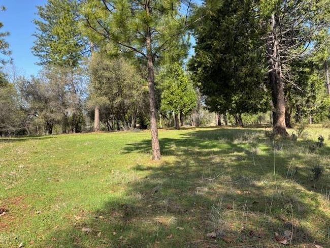 19292 Shawnee Trl, Home with 0 bedrooms, 0 bathrooms and null parking in Mokelumne Hill CA | Image 63