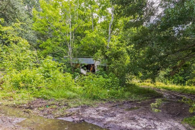 0 Davis Bend Rd, Home with 0 bedrooms, 0 bathrooms and null parking in Alvin TX | Image 15