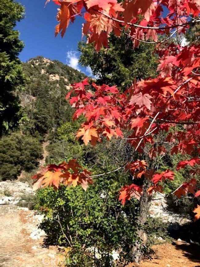 Enjoy the different seasons | Image 52