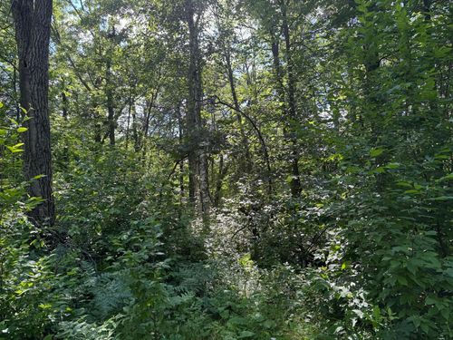 xxx Blue Ridge Dr, Pequot Lakes, MN, 56472 | Card Image