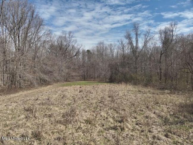 DJI_20250303113322_0012_V Medium | Image 10
