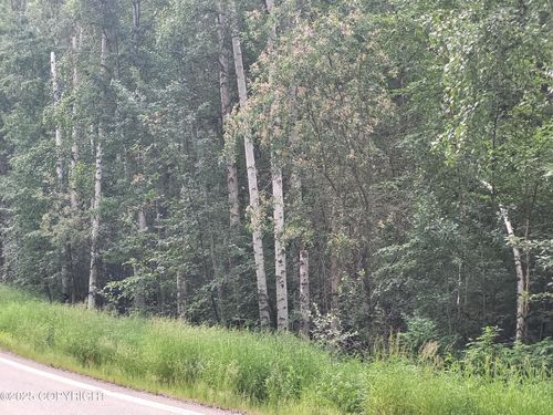 NHN Steele Creek Rd, Fairbanks, AK, 99712 | Card Image