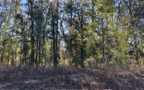 LOT33 Sw 76th Dr, Jasper, FL, 32052 | Card Image