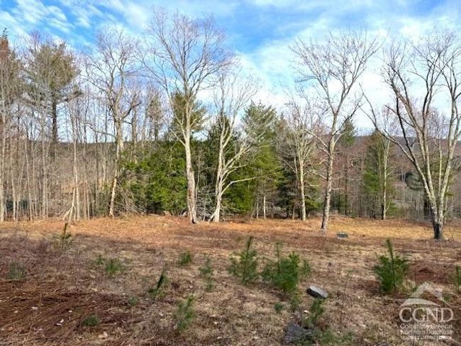 0 Campbell Rd, Home with 0 bedrooms, 0 bathrooms and null parking in Windham NY | Image 9