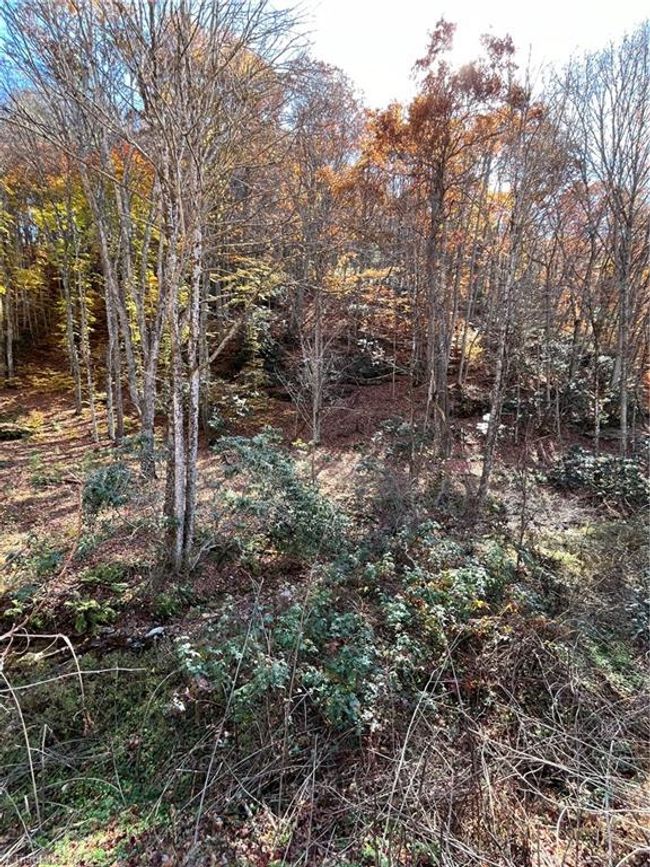 1972 Big Horse Creek Rd, House other with 3 bedrooms, 2 bathrooms and null parking in Lansing NC | Image 14