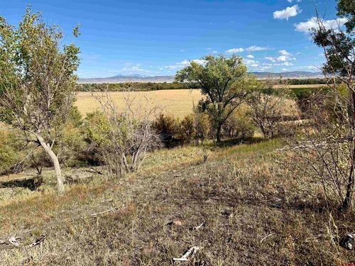 TBD 5500 Rd, Olathe, CO, 81425 | Card Image