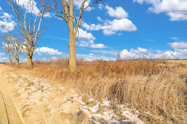 Ground view of property. | Image 8