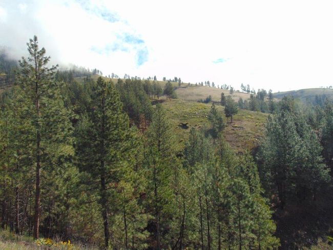 27235 Lazy Springs Rd, Home with 0 bedrooms, 0 bathrooms and null parking in Clinton MT | Image 24