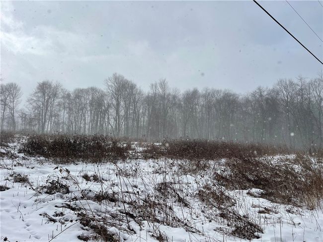 Along Creek Road | Image 14