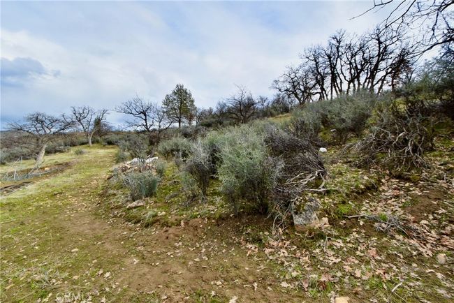 0 Rooster Pl, Home with 0 bedrooms, 0 bathrooms and null parking in Hornbrook CA | Image 13