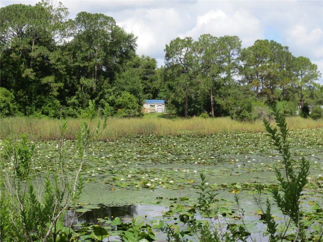 Close public boat ramp to Lake Bryant | Image 69