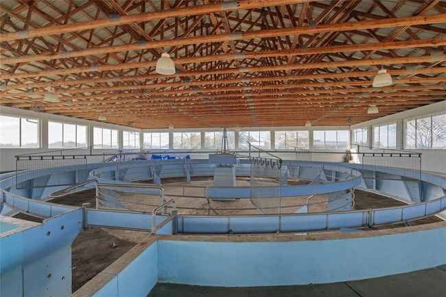 Hydrotherapy facility which could be converted into a nice indoor arena | Image 78