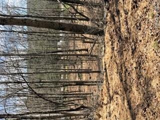 Land in Deerpark 5