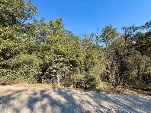 TBD Lot 1233 Hanauma Drive, Bastrop, TX, 78602 | Card Image