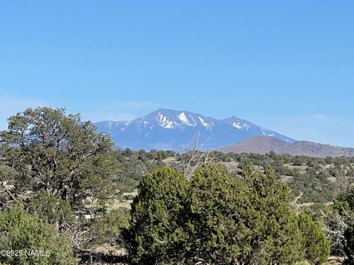 8801 S Rim Ranch Rd, Williams, AZ, 86046 | Card Image