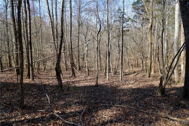 0 Golf Course Rd, Home with 0 bedrooms, 0 bathrooms and null parking in Halifax VA | Image 7