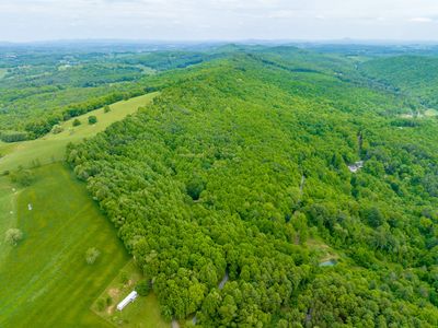 34 Acres Apache Rd, Home with 0 bedrooms, 0 bathrooms and null parking in Woodlawn VA | Image 3