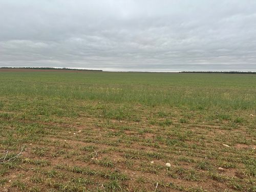 TBD Fm 1812, Merkel, TX, 79536 | Card Image