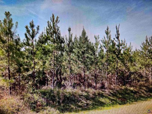 002 Old Vienna Rd, Elko, GA, 31025 | Card Image
