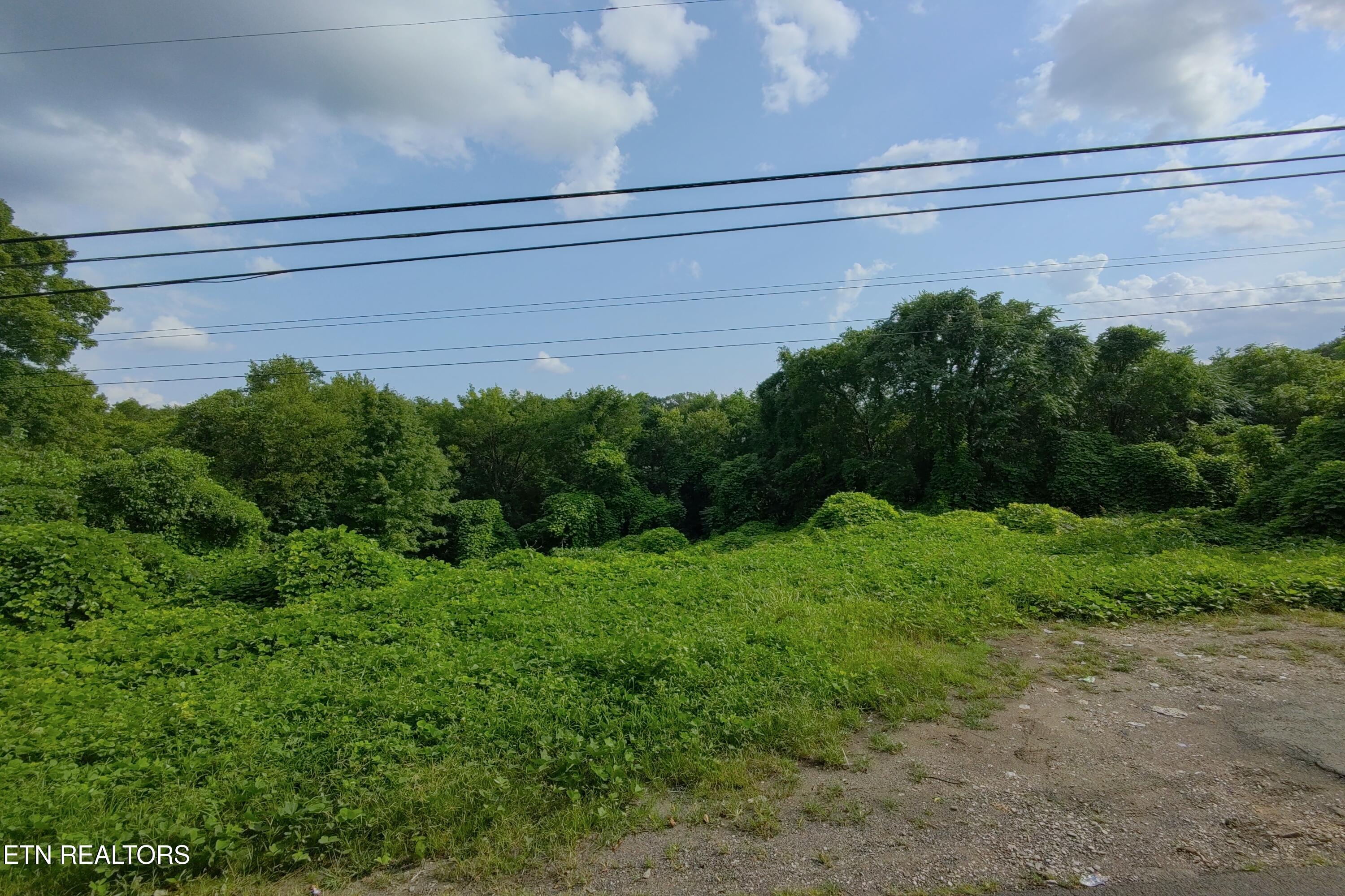 Land in Knoxville 5
