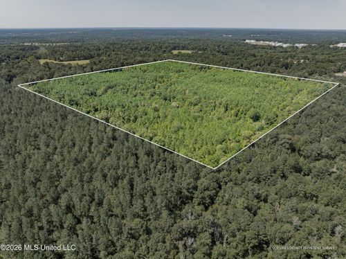 40 Acres Highway 588, Collins, MS, 39428-7015 | Card Image