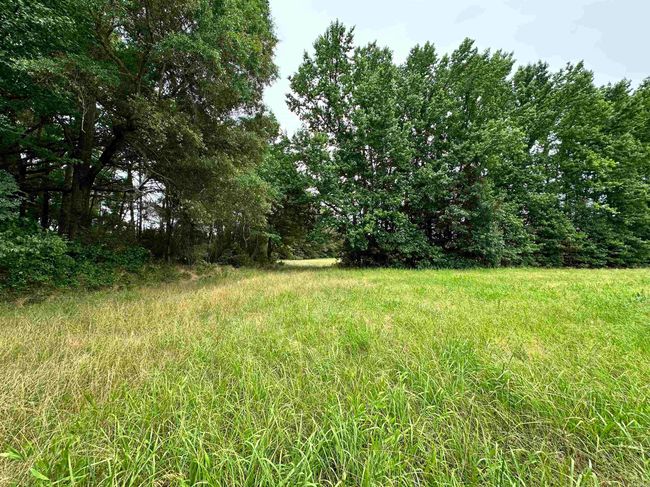000 Oak Dale Rd, Home with 0 bedrooms, 0 bathrooms and null parking in Lonoke AR | Image 9