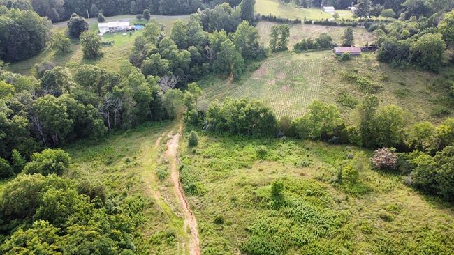 33.64 ac Davis Rd, Home with 0 bedrooms, 0 bathrooms and null parking in Livingston TN | Image 30