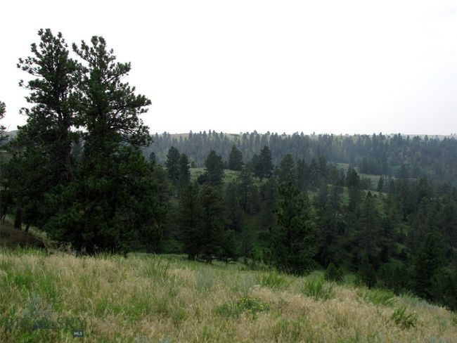SC-25 - TBD Lone Rock Canyon Lane, Home with 0 bedrooms, 0 bathrooms and null parking in Hysham MT | Image 28