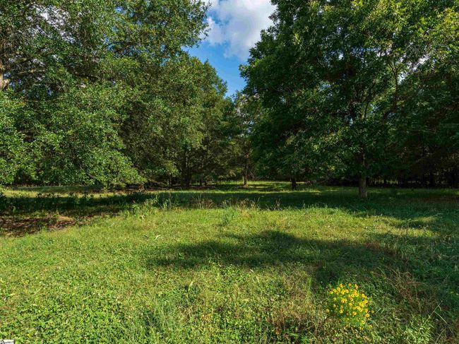 734 W Ridgeway Rd, House other with 5 bedrooms, 5 bathrooms and 5 parking in Honea Path SC | Image 39