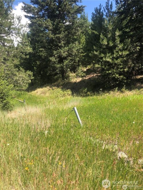 22 Pine Chee Rd, Oroville, WA, 98844 | Card Image