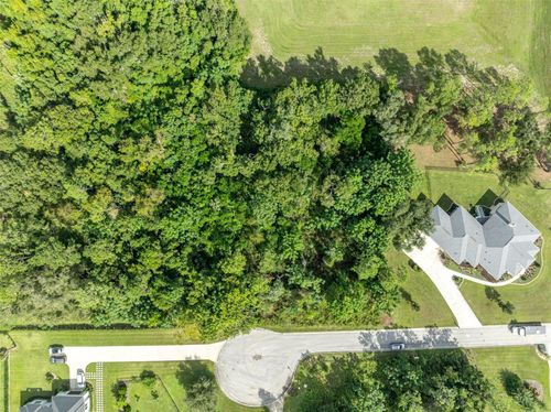 7082 Norne Ln, MOUNT DORA, FL, 32757-7076 | Card Image