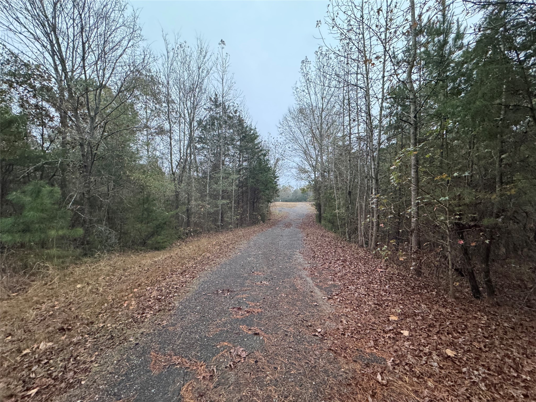 Land in Tyler 3