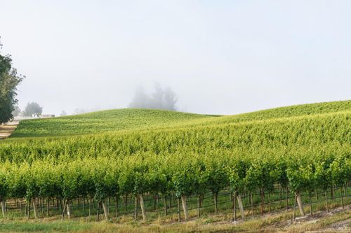 5215 Blank Road, Sebastopol, CA, 95472 | Card Image