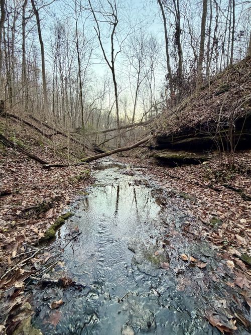 1 Sunnyside Dr, Ashland City, TN, 37015 | Card Image