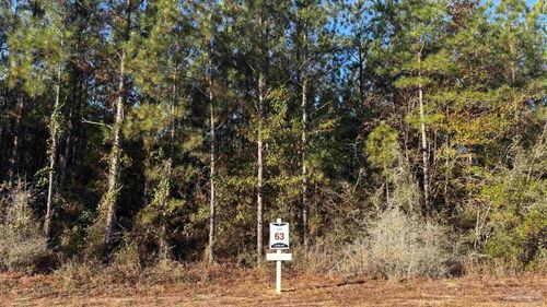 lot 63 Straw Bridge Rd, Jay, FL, 32565 | Card Image