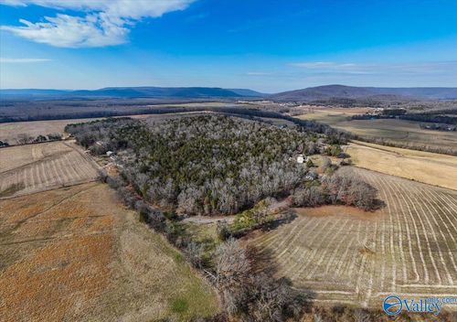 2.47 Acres-Lot3 County Road 214, Woodville, AL, 35776 | Card Image