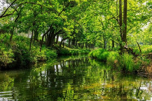 199 Lexington Dr, Fredericksburg, TX, 78624 | Card Image