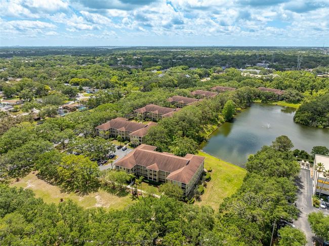 APT-112 - 2690 Coral Landings Blvd, Condo with 1 bedrooms, 1 bathrooms and null parking in PALM HARBOR FL | Image 25