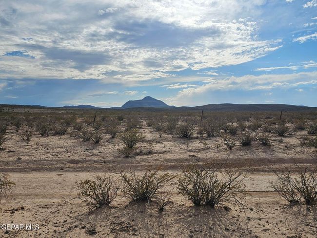 20250623_173720 | Image 4