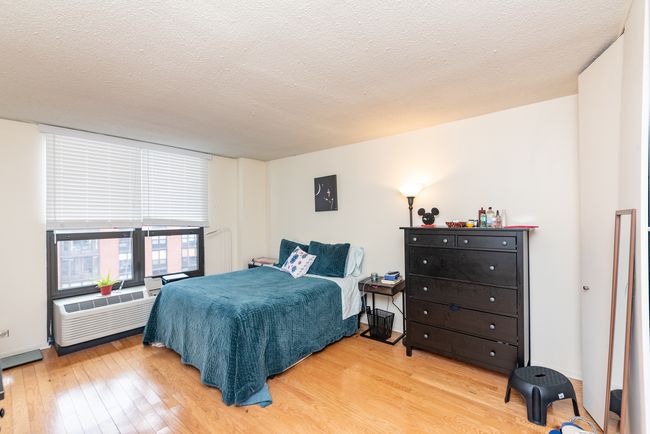 APT-1705 - 899 S Plymouth Ct, Condo with 1 bedrooms, 1 bathrooms and null parking in Chicago IL | Image 10