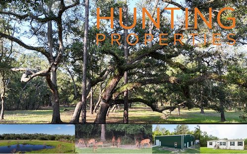 1003 Nw Tiger Drain Rd, White Springs, FL, 32096-7354 | Card Image