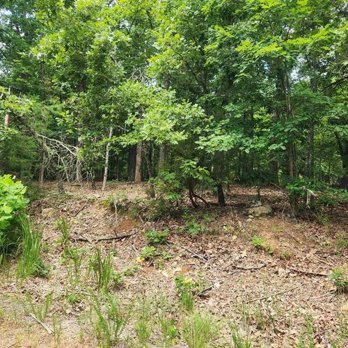 L-60, B-6 Anadarko Drive, Cherokee Village, AR, 72529 | Card Image