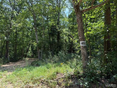 #402 Madison 410, Fredericktown, MO, 63645 | Card Image